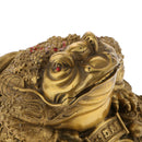 3 Legged Wealth Money Frog Toad Lucky Fortune Feng Shui Ornaments Gift S