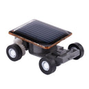 Solar Power Energy Frightened Grasshopper Insect Bug Locust