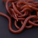Soft Bait Carp Fishing Lure Silicone Smell Red Worm Iscas Artificiais pesca