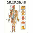 7pcs/set English Acupuncture Meridian Acupressure Points Posters Chart Wall Map