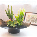 Plastic Ikebana Suiban Vase Tray Pot Bonsai Flower Container ~Hat-like