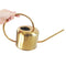 900ml Solid Stainless Steel Golden Long-Mouth Watering Pot Household Garden