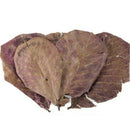 10pcs Natural Almond Leaves Shrimp Fish Aquarium Care Make Water Decor Supply