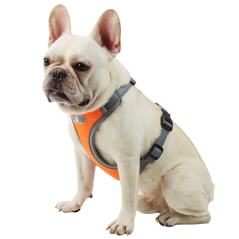 Reflective Vest Dog Chest Strap Breathable Pet Harness Leash Set (Orange M) A