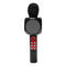 Wireless Bluetooth Ktv Speaker Mini Home Mic Microphone Fashion Flash Led L
