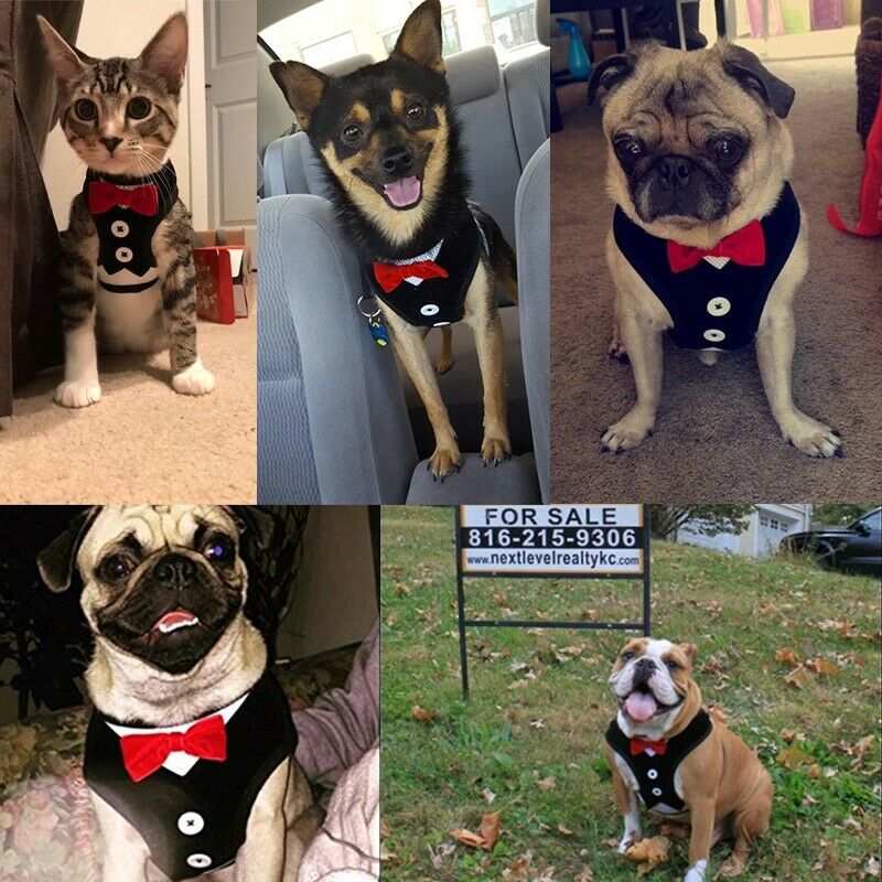 Dog Vest Pet Dog Harness Leash Set for Small Medium Dogs Bow Tie Formal Dre O1R3