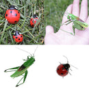 2 x Vivid Ladybug & Katydid Insect Imitation Animal Fridge Magnet Toys Outdoor