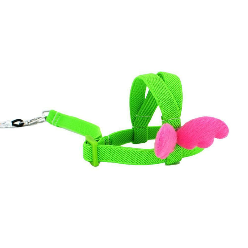 Parrot Bird Leash Adjustable Harness Pets Anti Flying Outdoor Training Rope NEW