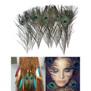 10Pcs Natural Peacock Feathers DIY Jewelry Decoration Plumes Accessories Cr BX