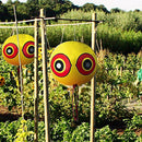 Stops Pest Bird Bright Colors Waterproof Terror Eyes Scare Balloons Floatab Bj