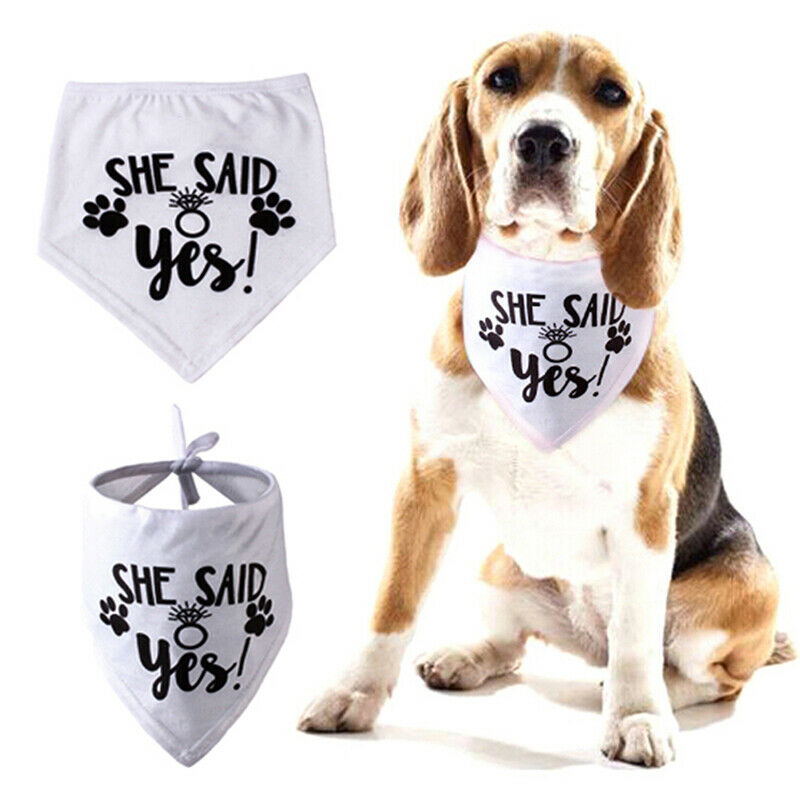 Pet scarf saliva towel pet accessories wedding commemorative accessori%!