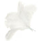 10 pcs Natural Ostrich Feathers Wedding Party Decoration White 40-45cm Y1V6