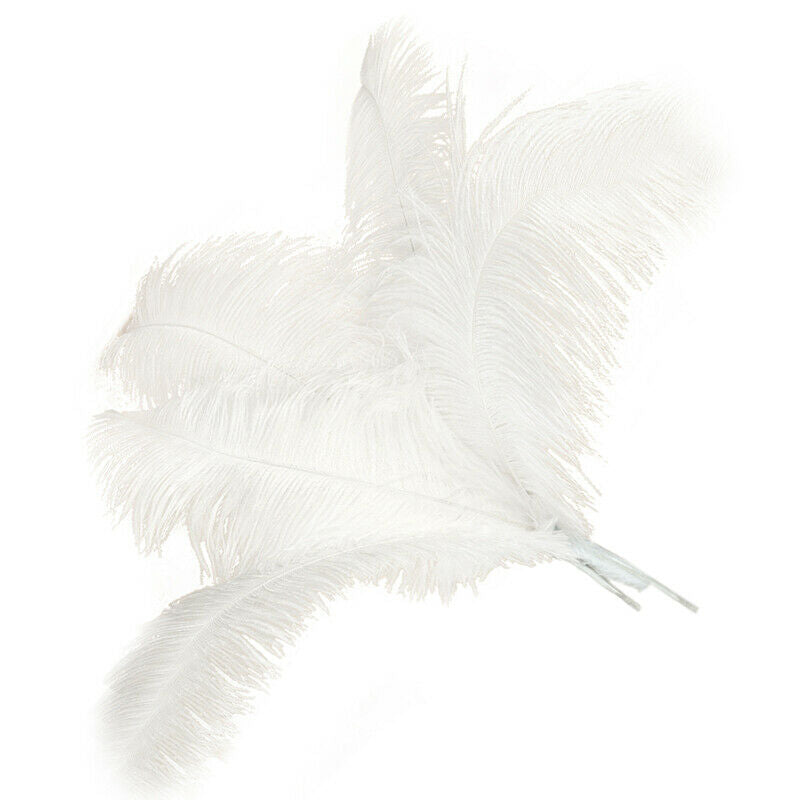10 pcs Natural Ostrich Feathers Wedding Party Decoration White 40-45cm Y1V6