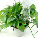 8Pcs/Lot Indoor Automatic Watering Irrigation Kits System Houseplant Spikes Y7E4