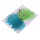 10 Pieces Mixed Pressed Dried Real Magnolia Skeleton Leaves for Scrapbooking