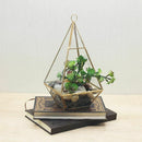 Decorative Crystal Tranparent Flower Glass Vase Geometric Shape Fashion Orn