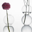 Glass Bubble Flower Vase Glass Planter Hydroponics Air Plant Bulb 2 Balls