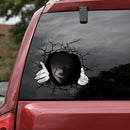 Car Styling Stickers Scary Halloween Auto Decals PVC Graphics (40x34cm)