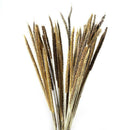 50Pcs Natural Dried Pampas Grass Reed Flower Bunch Wedding Bouquet Decors AU Hot