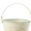 Rustic Metal French Design Planter Pot, Set of 10