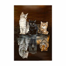 Full Square Drill 5D Diy Diamond Painting"Animal Cat"Embroidery Cross Stitc
