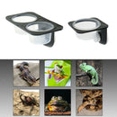 2Pcs Automatic Plastic Reptile Feeders Water Bottle Double Dish with Suction Cup