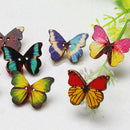 50Pcs Mixed Bulk Butterfly Phantom Wooden Sewing Buttons Scrapbooking 2 Holes