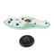 Paramecium Biological For Science Study Display Teaching  Education