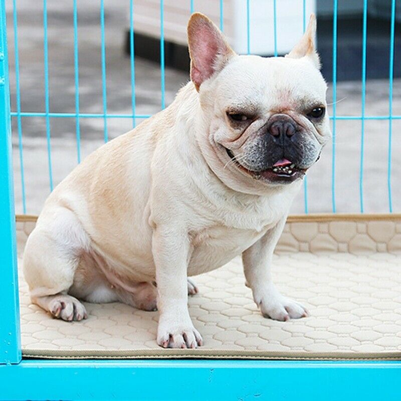 Anti-Slip Washable Dog Pet Diaper Mat Urine Absorbent Environment Protect D K4V4