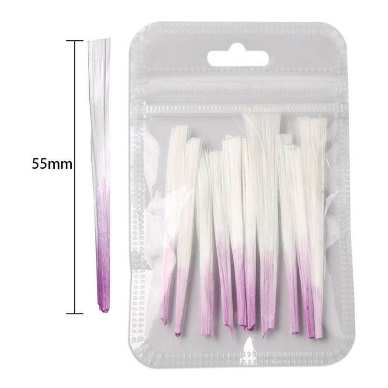 Fiber Nails Fiberglass for Nail Extension Acrylic Tips Manicure Salon Tool