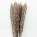 30Pcs Natural Dried Pampas Grass Reed Flower Home Wedding Bunch Bouquet Decor #