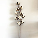 3 Pack 21 inch Cotton Stems Farmhouse Decoration Floral Picks - Rustic Styl N6U9