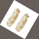 Double Fair Delicate Feather & Leaf Shaped Earrings For Women A7S7