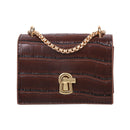 Elegant Women Pure Mini Shoulder Bags Leather Chain Messenger Bag (Brown)