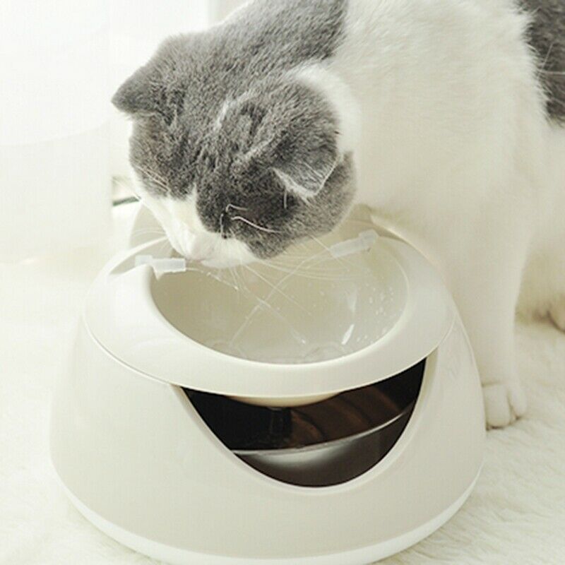 Automatic Luminous Pets Water Fountain For Cats Fountain Dogs Usb Electric