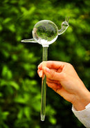 Automatic Bird Shape Glass Irrigation System Simple Device For Flowering Garden