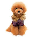 Pet Cat Dog Warm Clothes Winter Coat Dog Cat Pet Jacket Costume Wine Red XL