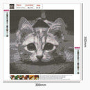 5D DIY Full Drill Diamond Painting Cross Stitch Embroidery Home Art (Cat07)
