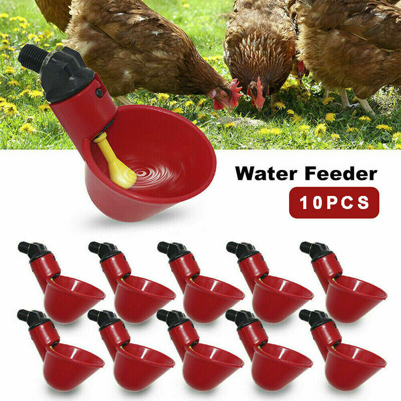 10Pcs Automatic Cups Water Feeder Drinker Chicken Poultry Bird Waterer Red Set