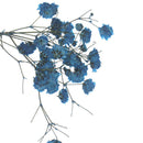 10pcs/Set Mini Gypsophila Cute Dried Flower Wedding Decoration DIY Hand acco BX