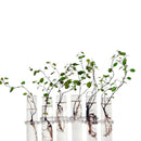 6 Glass Tubes Shape Hanging Hydroponic Flower Plant Vase Terrarium Containe K8R7
