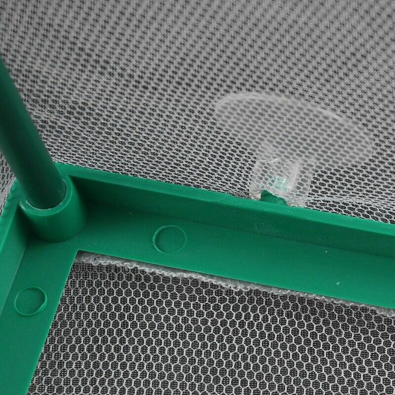 Breeding Hatchery Isolation Box Aquarium Net Breeder Bearer