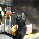 Cats Bouncy Rod with Bell and Feathers 36in - Playing Toys for Cats H2N9