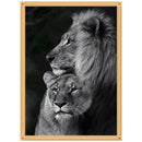 5D DIY Full Drill Diamond Painting Animal Tiger Cross Stitch Kits (K512)