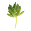 Set of 2 Artificial Succulent Flower Real Touch Simulation Faux Plant 309