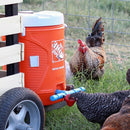 10Pcs Chicken Bird Poultry Water Feeder Auto-Drinker Nipple Drinking Cup Set