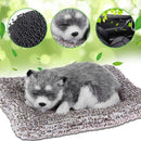 Sleeping Dog Bamboo Charcoal Bag Deodorant Car Interior Air Freshener Decor