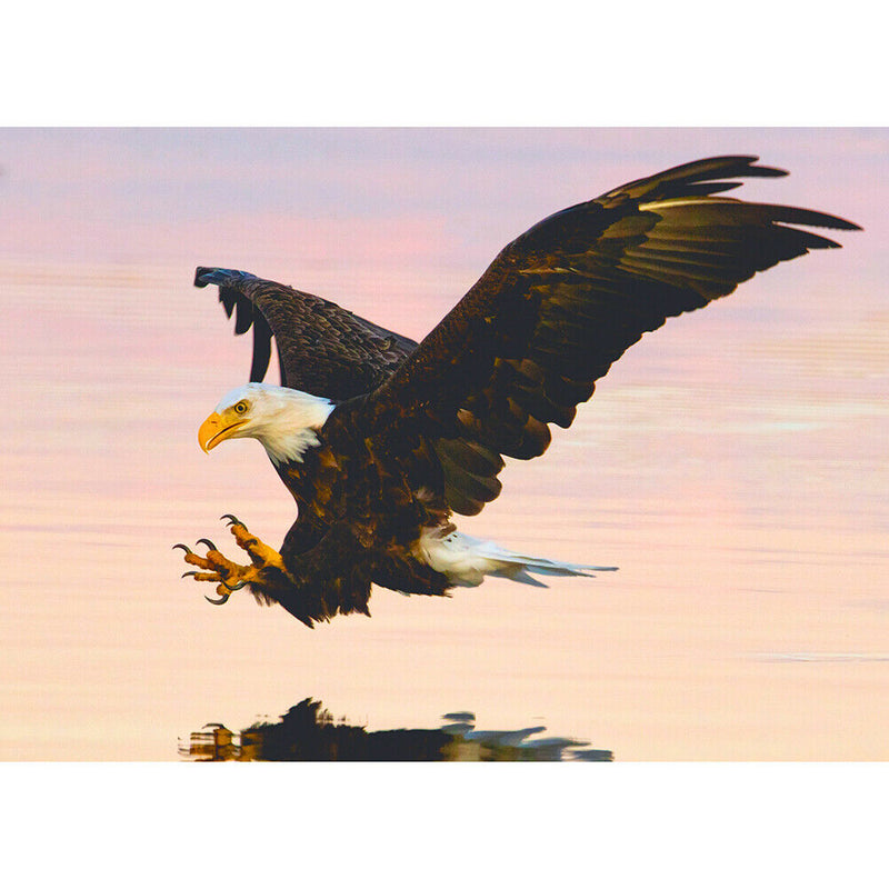 1000 Pieces Adults Kids Paper Jigsaw Puzzles Flying Eagle Assembling Toys