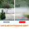 Car Glass Anti Fog Agent Window Bathroom Swimming Goggles Anti-fog Spray