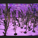 Hydroponic Vegetable Floating Board Soilless Cultivation Equipment  Foam Boa Hn